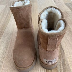 UGG Chestnut Mini